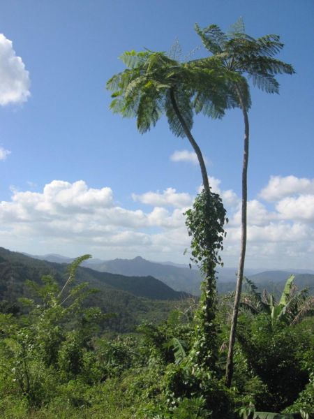 région de Baracoa