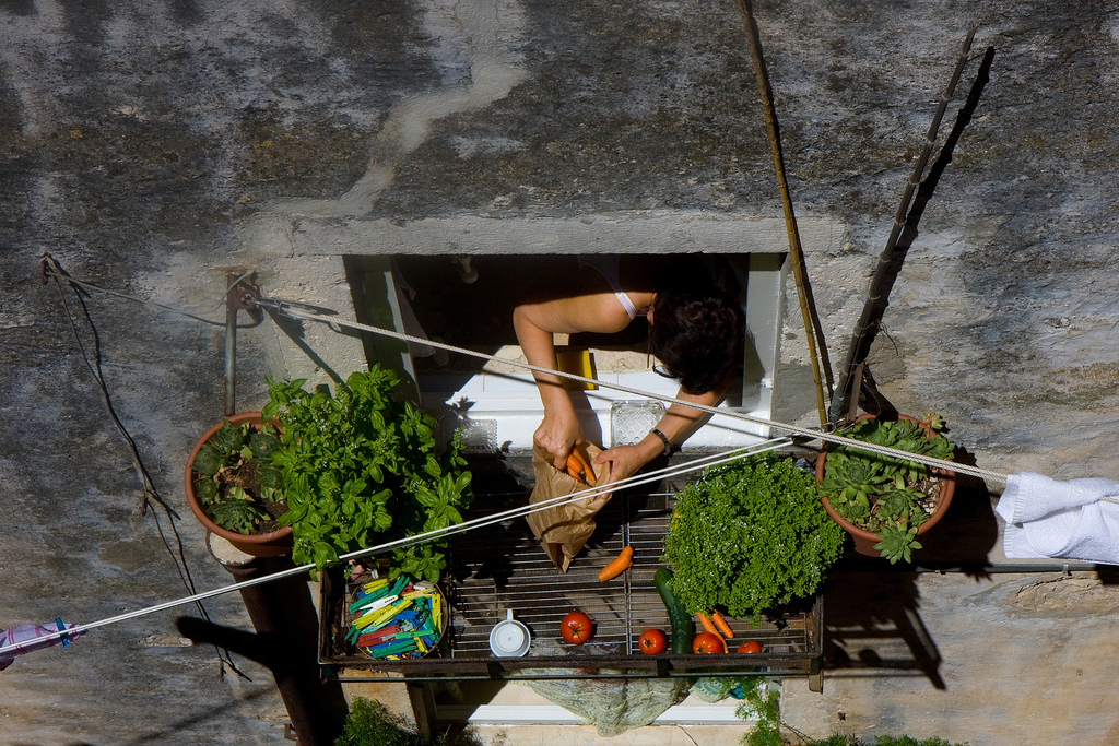 Agriculture sur balcon. © Marcel Oosterwijk (Flickr.com)