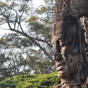 Forêt cambodgienne. © Igun! (Flickr.com)