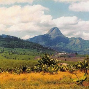 Terres agricoles au nord du Mozambique.