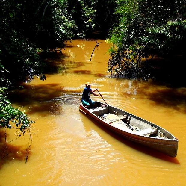 Le fleuve Amazone. © Ana_Cotta (Flickr.com)