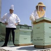 Apiculture au Royal York Fairmont. © Royal York Fairmont Hotel