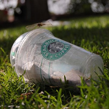Gobelet Starbucks. © half alive - soo zzzz (Flickr.com)