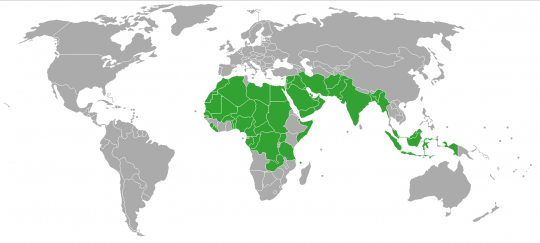 Carte mondiale de la polygamie.