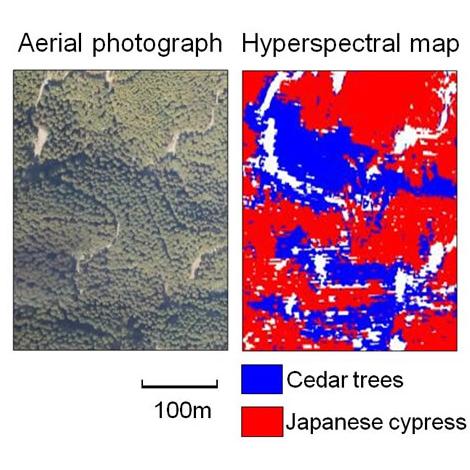 Carte hyperspectrale d'une forêt. © Fujitsu