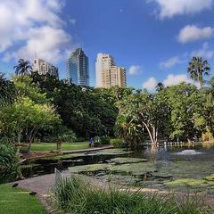 Jardin botanique de Brisbane. © Burning Image (Flickr.com)