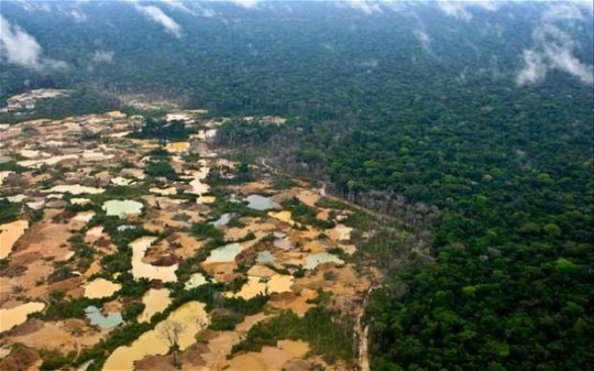 Exploitation aurifère en Amazonie.